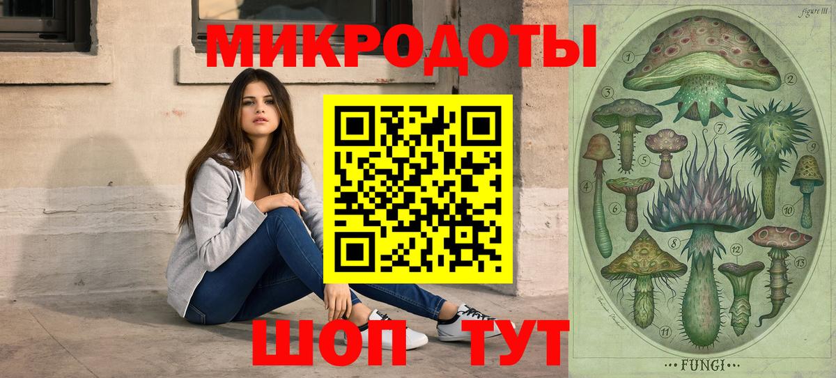 дарнет шоп  Псилоцибиновые грибы GOLDEN TEACHER  Люберцы  Вход с VPN  Псилоцибиновые грибы ЛСД 